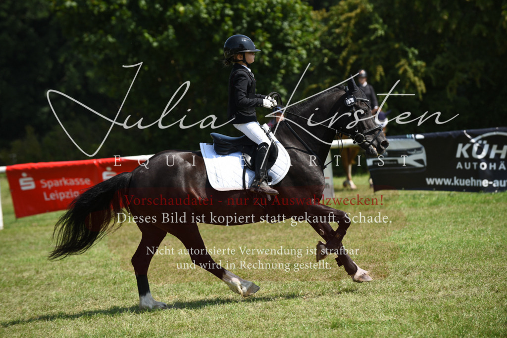 DSC_9986 | Pferde- und Turnierfotografie in Westsachsen. Pferdeportraits, Auftragszeichnungen und intuitive Kunst.