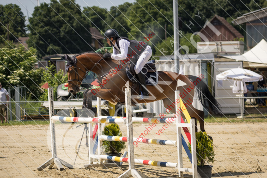 IMG_9255 | Sport-, Event- und Tierfotos in Profiqualität. Einfach auswählen, bestellen und herunterladen. Dein Moment – perfekt festgehalten.