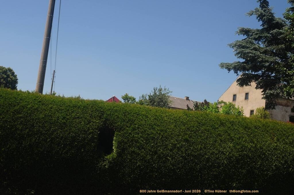Geißmannsdorf-2026-Ortsbilder-387 | Geißmannsdorf bei Bischofswerda im Sommer 2026. Ein fotografischer Streifzug durch das Dorf Geißmannsdorf, mit Gebäuden, Straßen, Strohpuppen und geschmückten Vorgärten und Grundstücken anlässlich der 800-Jahr-Feier von Geißmannsdorf im Juni 2026 - Realisiert mit Pictrs.com