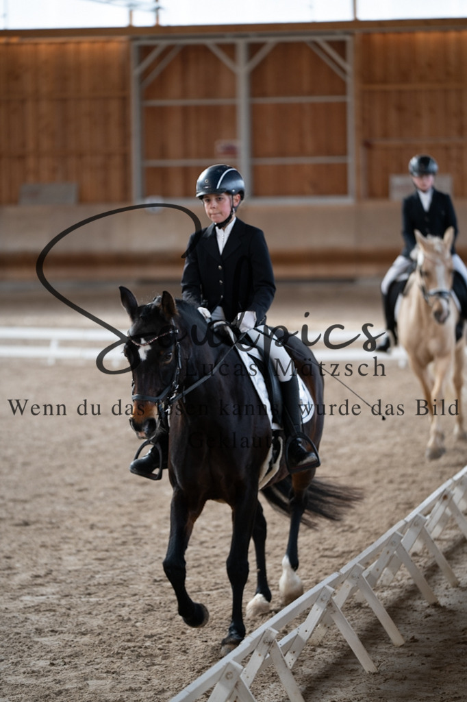 A7V09327 | Pferdefotograf