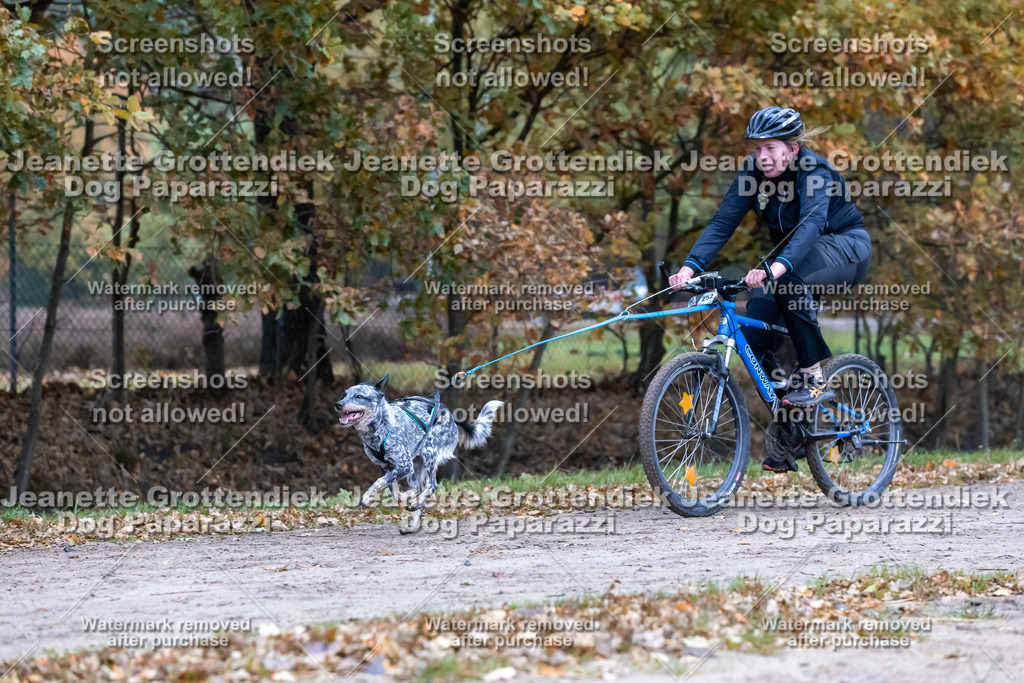 Dog Paparazzi - SD CaniX Championship 2025-276 | Dog Paparazzi Jeanette Grottendiek Fotografie & Videografie - Realisiert mit Pictrs.com