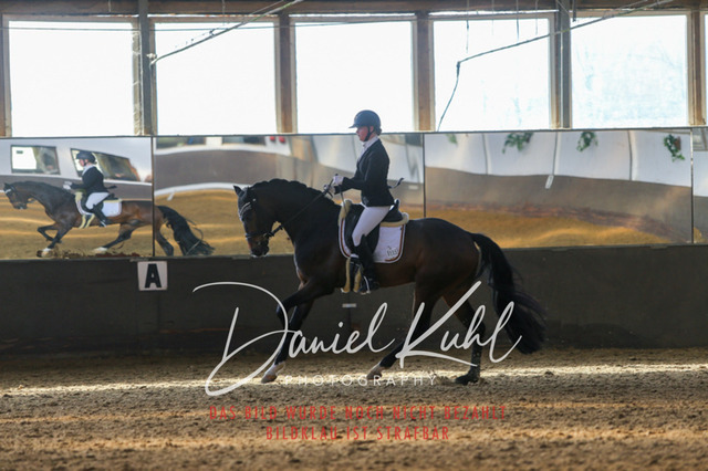 IMG_2278 | Turniersportfotografie; Pferdefotografie; Dressurfotografie