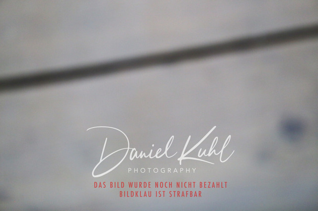 IMG_2766 | Turnierfotos kaufen im Webshop von Daniel Kuhl Photography – entdecke professionelle Reitsportfotos aus Turnieren & Events. Hochwertige Turnierbilder online bestellen & sichern. Jetzt Fotos von Reitsportturnieren kaufen!