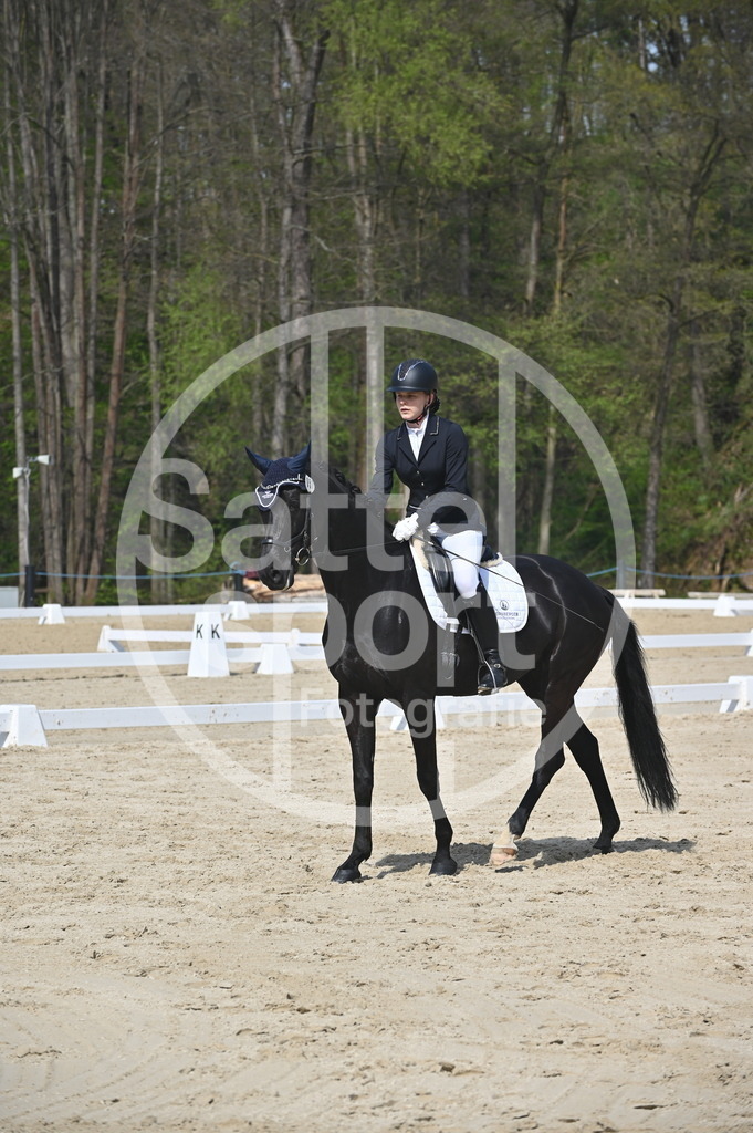 DSC_1100 | sattelsport - Realisiert mit Pictrs.com