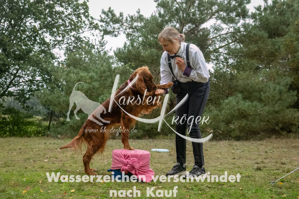 1133_ZZ94641-Bearbeitet | kk-dogfotos