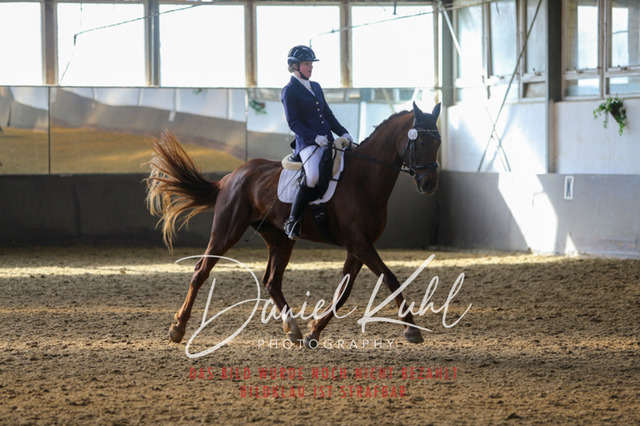 IMG_2262 | Turniersportfotografie; Pferdefotografie; Dressurfotografie