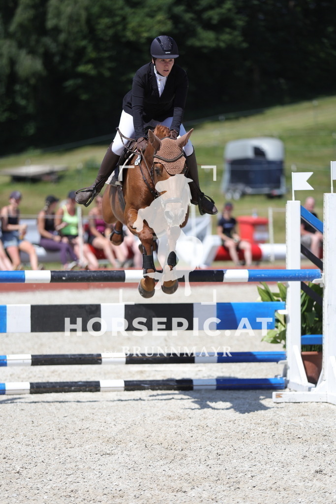 0P6A9927 | Willkommen bei Brunnmayr - Design & Fotografie – Ihrem Spezialisten für Reitturniere und Pferdeveranstaltungen in Oberösterreich, Salzburg und Bayern! Seit über 17 Jahren sind wir leidenschaftlich dabei.