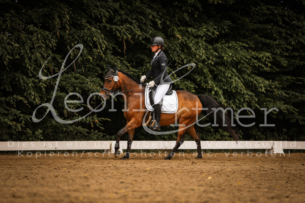 DoDrE00495 | Leoni Ertmer Photography - Realisiert mit Pictrs.com