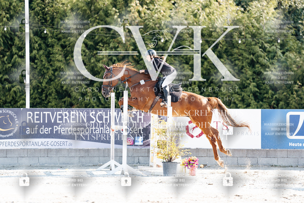 CK901666 | Turnierfotografie Pferdefotografie Trier Rheinland-Pfalz Pferdesport Reitsport Tierfotografie Sportfotografie Pferdevideo Pferdevideografie Equestrianvideography equestrianphotography  - Realisiert mit Pictrs.com