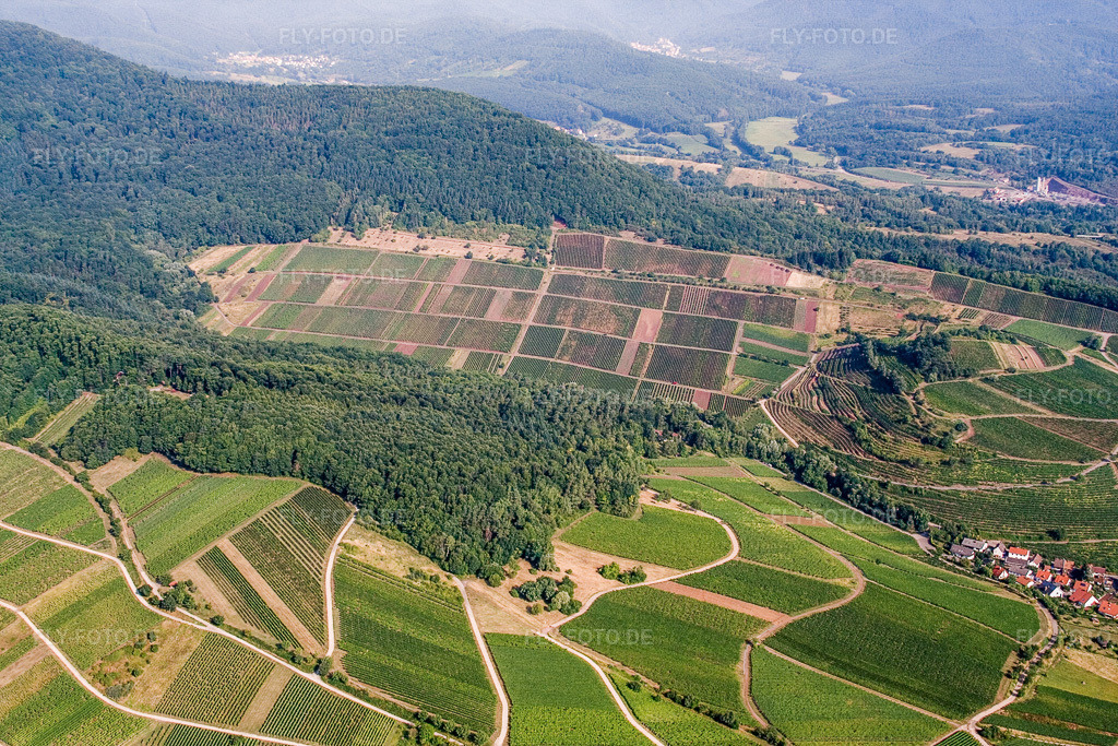 Luftbild: Weinlage Keschdebusch (Kastanienbusch) in Birkweiler im Bundesland Rheinland-Pfalz in Deutschland. Foto: IMG_12022.jpg vom 31.07.2008 durch Werner Riehm/FLY-FOTO.de