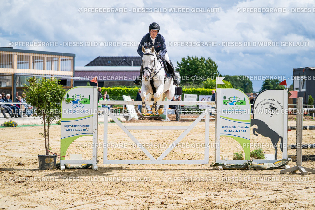 DSC05649 | Pferdegrafie