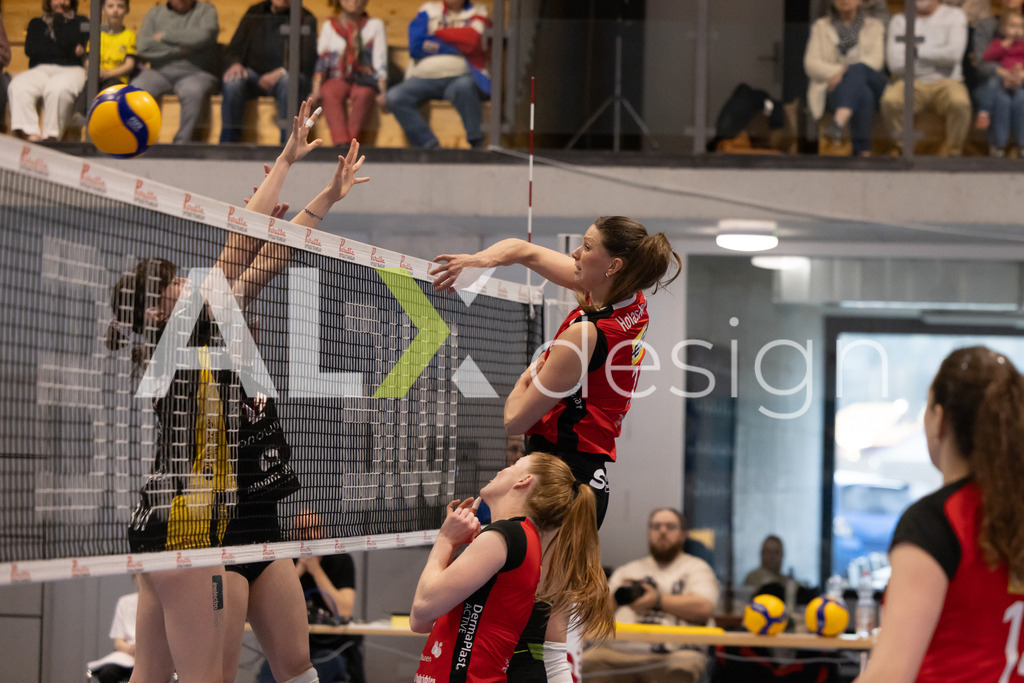Volleyball I Frauen I Saison 2025-2026 I Volleyball NLA | Women I 1/4 Finals I  BIWI VFM - VC Kanti Schaffhausen I 01.03.2026 | 11 Kateřina Holásková (CZ) (VC Kanti Schaffhausen) – Mitte - Realisiert mit Pictrs.com