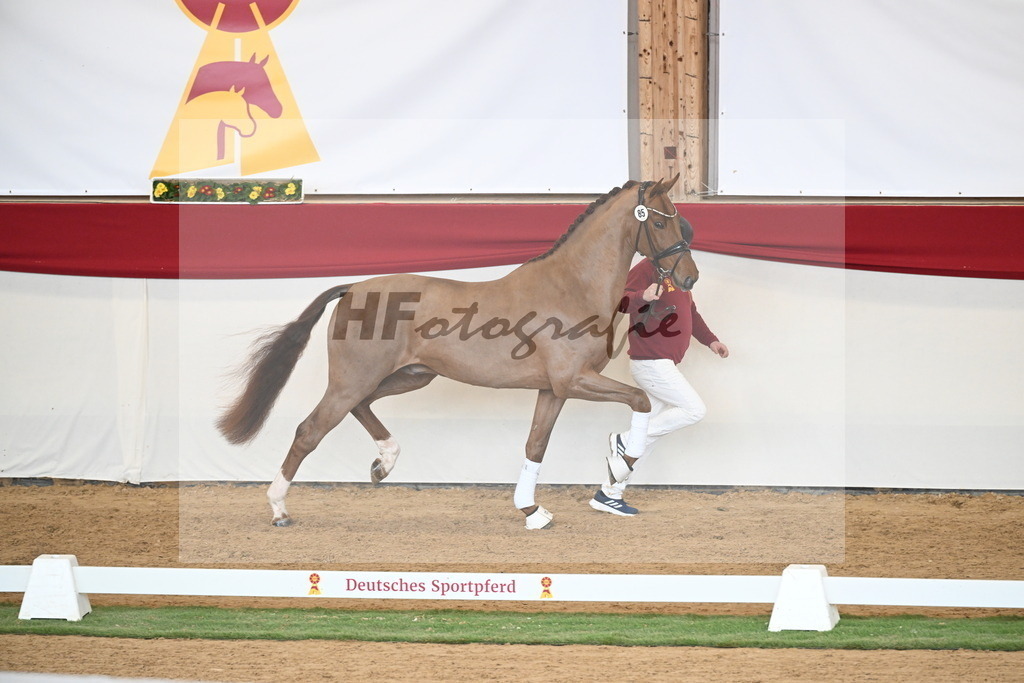 Kat.-Nr. 85 v. Vitalis_Wiens_2250779 | hf-fotografie - Realisiert mit Pictrs.com