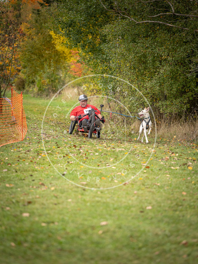 Pfotenfotografie_DV3A3502 | Hundefotografie, Tierfotograf, Pfotenfotografie, Fotoshooting Hund, Hunde Portrait, Hundesport, Hundeportraits, Heideshooting, Hunde, Sportfotograf, Hundefotograf, Turnierhundsport, THS,  - Realisiert mit Pictrs.com