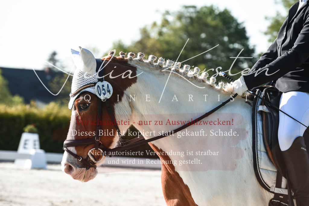20230518_JK-Röhrsdorf-09-0276 | Pferde- und Turnierfotografie in Westsachsen. Pferdeportraits, Auftragszeichnungen und intuitive Kunst.