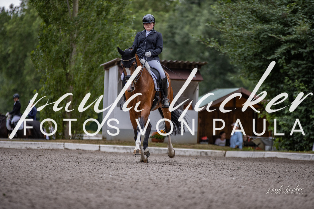 IMG_6098 | Erleben Sie dynamische Sport- und emotionale Tierfotografie in Süddeutschland mit Fotos von Paula. Spezialisiert auf Pferde- und Hundefotografie sowie Sportevents. Kontaktieren Sie mich für einzigartige und ausdrucksstarke Bilder Ihrer besonderen Momente. - Realisiert mit Pictrs.com