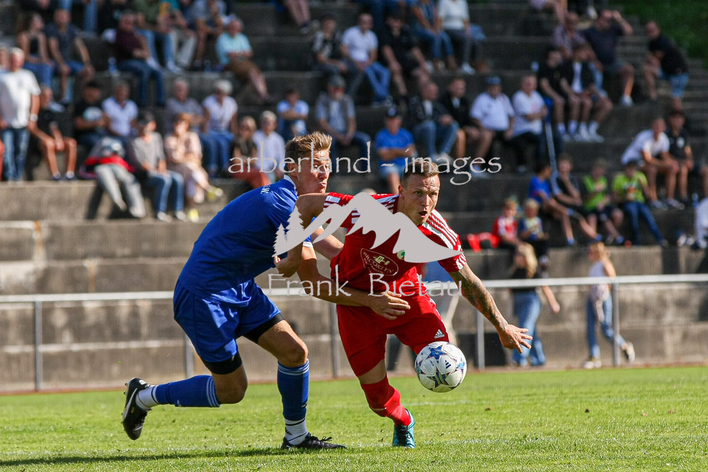 993T0272 | re. Denis Nikolov