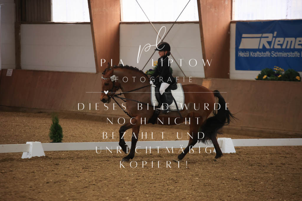 IMGT0399 | pl-fotografie