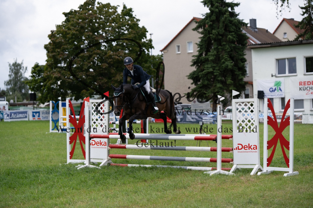 A7V03930 | Pferdefotograf