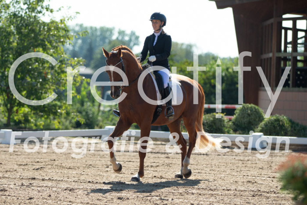 IMG_2835 | Creatify Fotografie