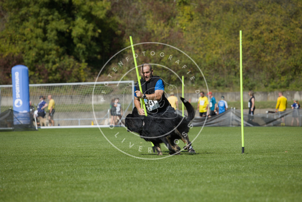 0L8A6155 | Hundefotografie, Tierfotograf, Pfotenfotografie, Fotoshooting Hund, Hunde Portrait, Hundesport, Hundeportraits, Heideshooting, Hunde, Sportfotograf, Hundefotograf, Turnierhundsport, THS,  - Realisiert mit Pictrs.com