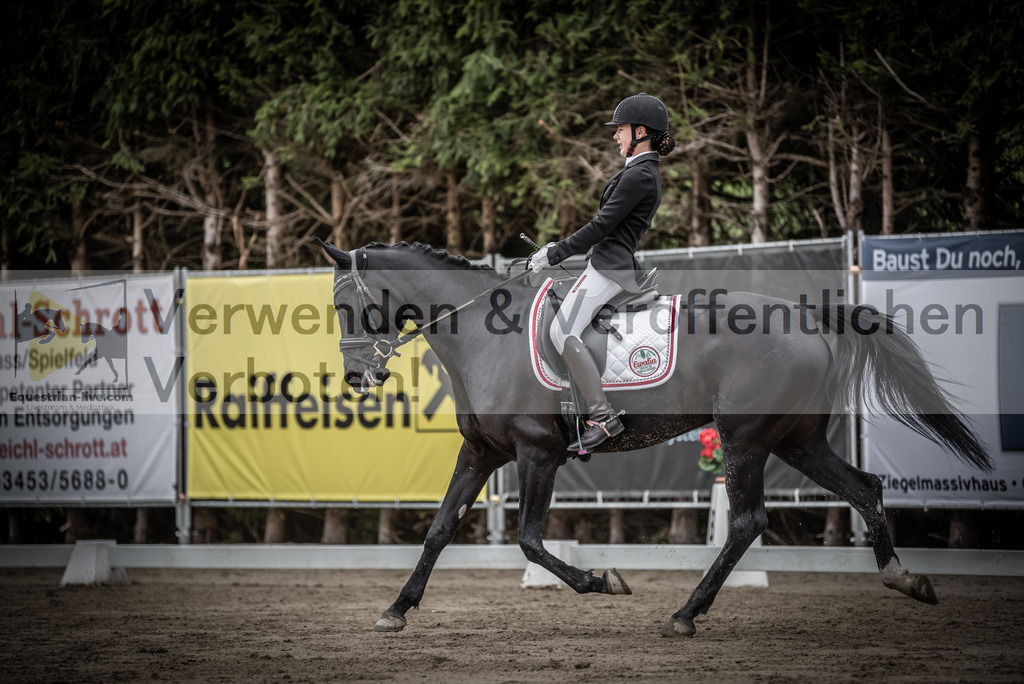 DSC_9477 | equestrian-live-com