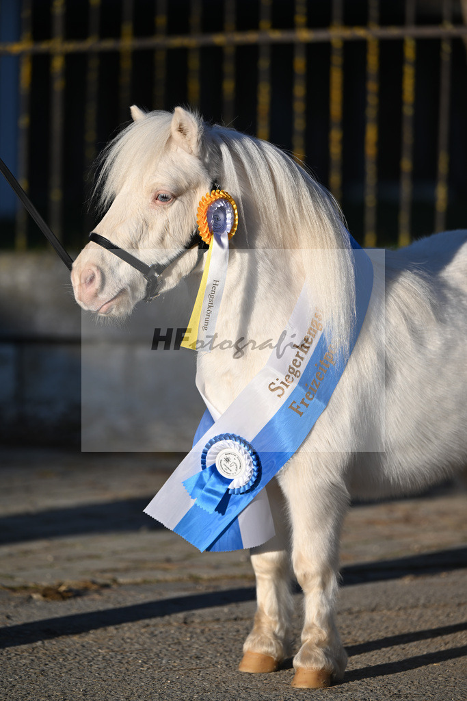 Kat-Nr. 14 Elmhorst Irish Cream v. Elmhorst Irish Coffee_Elmer_49250908 | hf-fotografie - Realisiert mit Pictrs.com