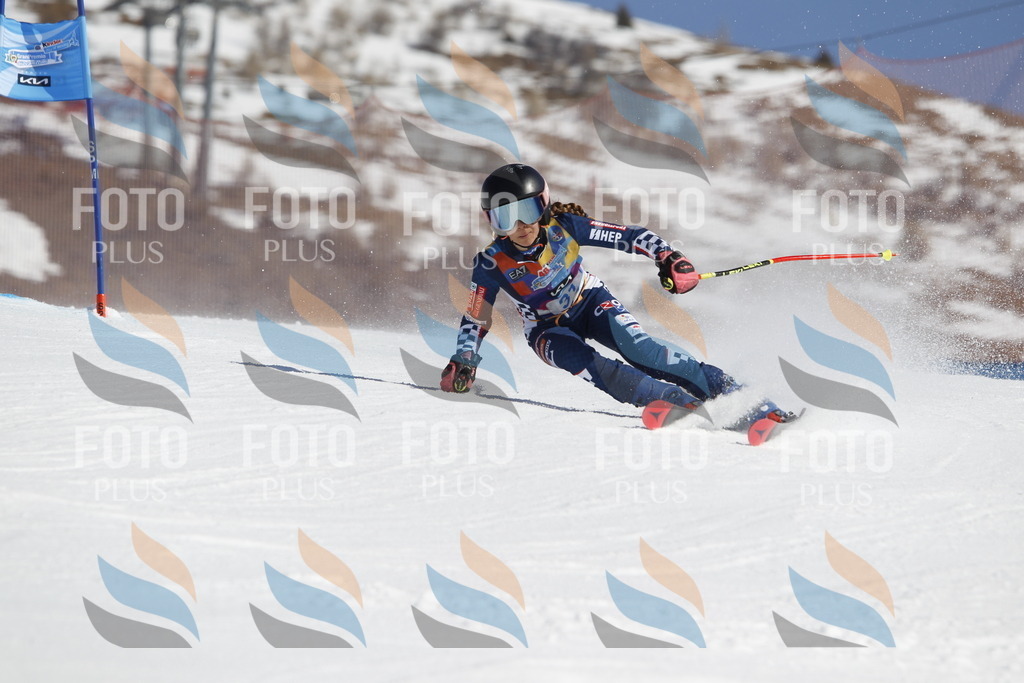 _U3G9052 | holidayphoto