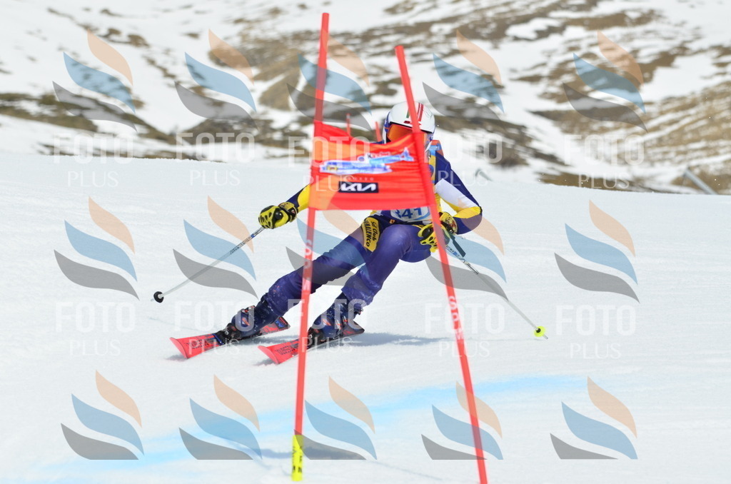 _ELE2560 | holidayphoto