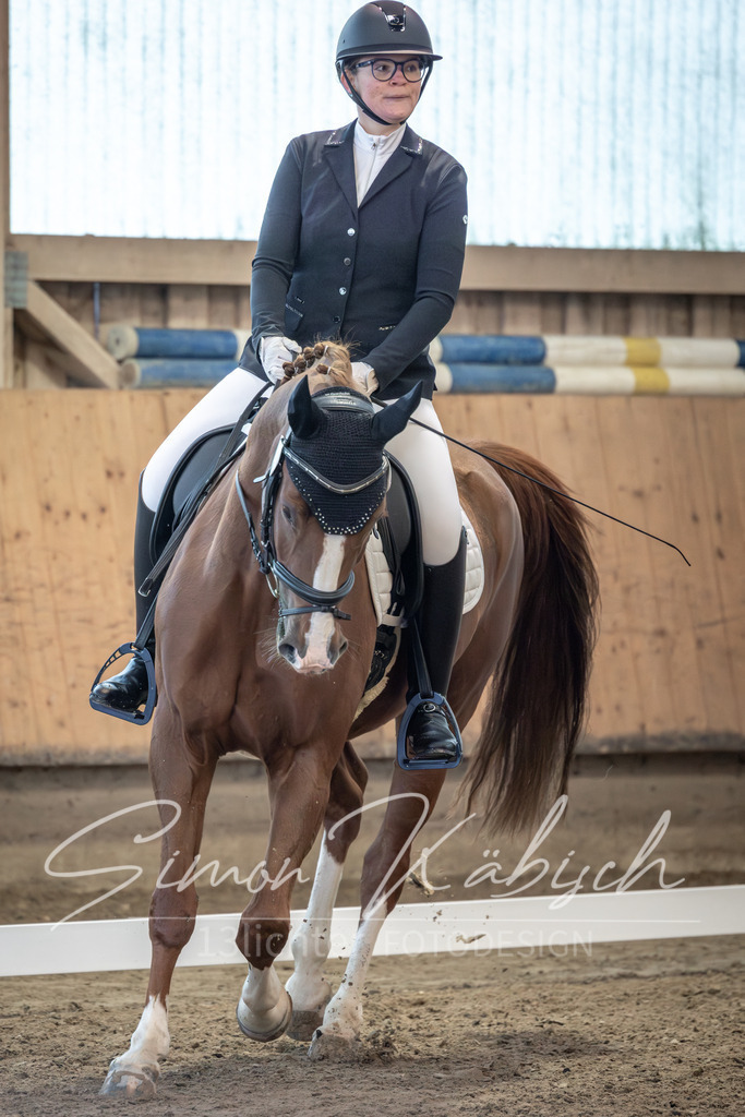 20251011-_3LI6057 | Tierfotografie Pferde, Hunde, Katzen, Haustiere.
Turnierfotografie Reitturniere, Reiten, Springreiten, Dressur in Hanau, dem Main-Kinzig-Kreis und dem Rhein-Main- Gebiet um Frankfurt