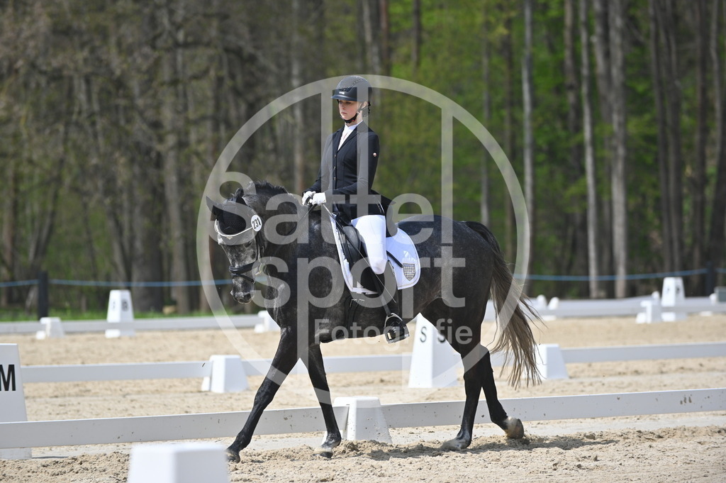 DSC_2229 | sattelsport - Realisiert mit Pictrs.com