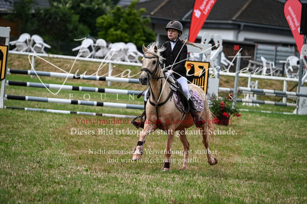 DSC_8614 | Pferde- und Turnierfotografie in Westsachsen. Pferdeportraits, Auftragszeichnungen und intuitive Kunst.
