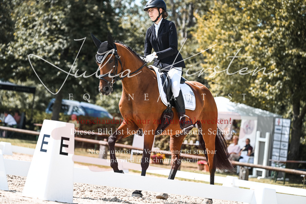 DSC_5483 | Pferde- und Turnierfotografie in Westsachsen. Pferdeportraits, Auftragszeichnungen und intuitive Kunst.