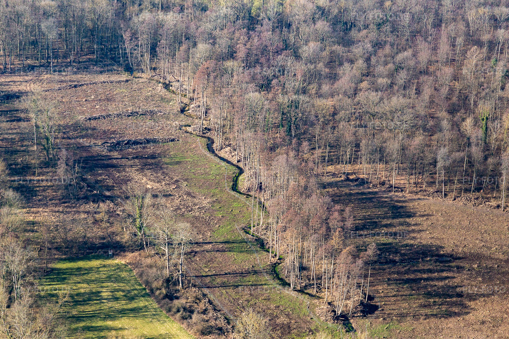 Luftbild: Klingbach im Vorfrühling in Steinweiler im Bundesland Rheinland-Pfalz in Deutschland. Foto: IMG_125786.jpg vom 02.03.2021 durch Werner Riehm/FLY-FOTO.de