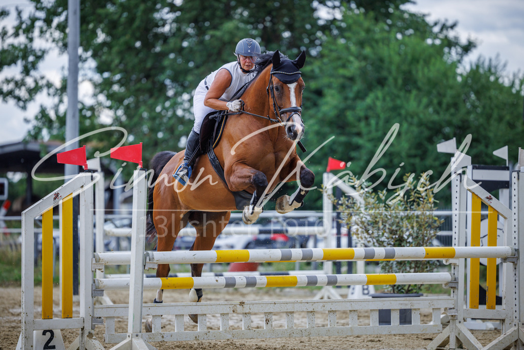 20260705-_3LI6248 | Tierfotografie Pferde, Hunde, Katzen, Haustiere.
Turnierfotografie Reitturniere, Reiten, Springreiten, Dressur in Hanau, dem Main-Kinzig-Kreis und dem Rhein-Main- Gebiet um Frankfurt
