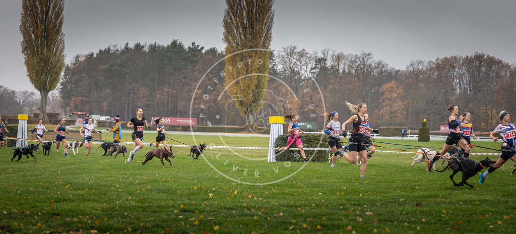 CaniXpix_DV3A8749 | Hundefotografie, Tierfotograf, Pfotenfotografie, Fotoshooting Hund, Hunde Portrait, Hundesport, Hundeportraits, Heideshooting, Hunde, Sportfotograf, Hundefotograf, Turnierhundsport, THS,  - Realisiert mit Pictrs.com