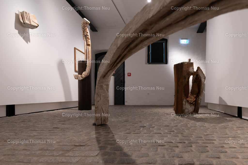 DSC_9311-2 | Museum Bensheim, Ausstellung Jochen Walpoth, 