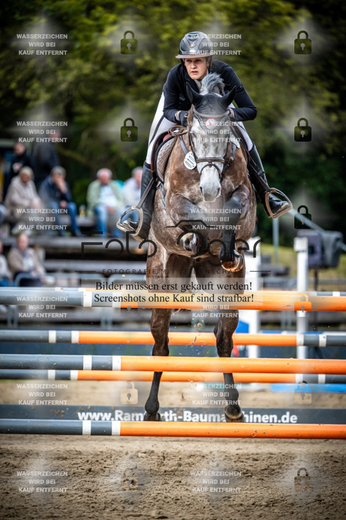 Sielturnier 2026-14-0098 | Entdecke hochwertige Reitturnierfotos von Foto Oger. Professionell, emotional und authentisch – jetzt Lieblingsmomente im Shop bestellen.Deutschlandweite Turnierfotografie. - Realisiert mit Pictrs.com