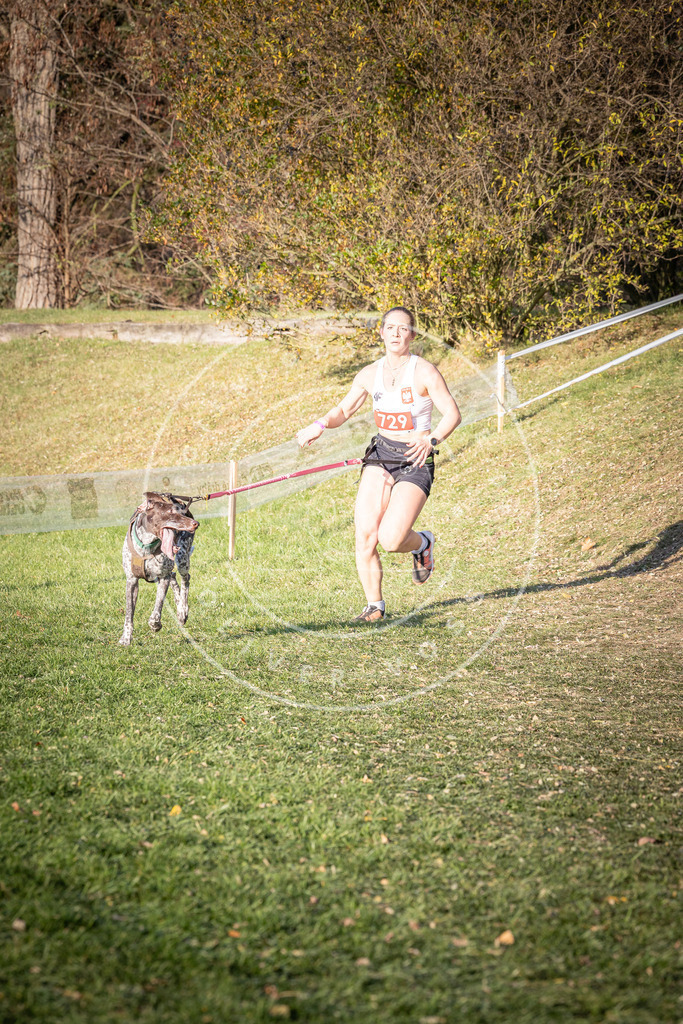 CaniXpix_0L8A9725 | Hundefotografie, Tierfotograf, Pfotenfotografie, Fotoshooting Hund, Hunde Portrait, Hundesport, Hundeportraits, Heideshooting, Hunde, Sportfotograf, Hundefotograf, Turnierhundsport, THS,  - Realisiert mit Pictrs.com