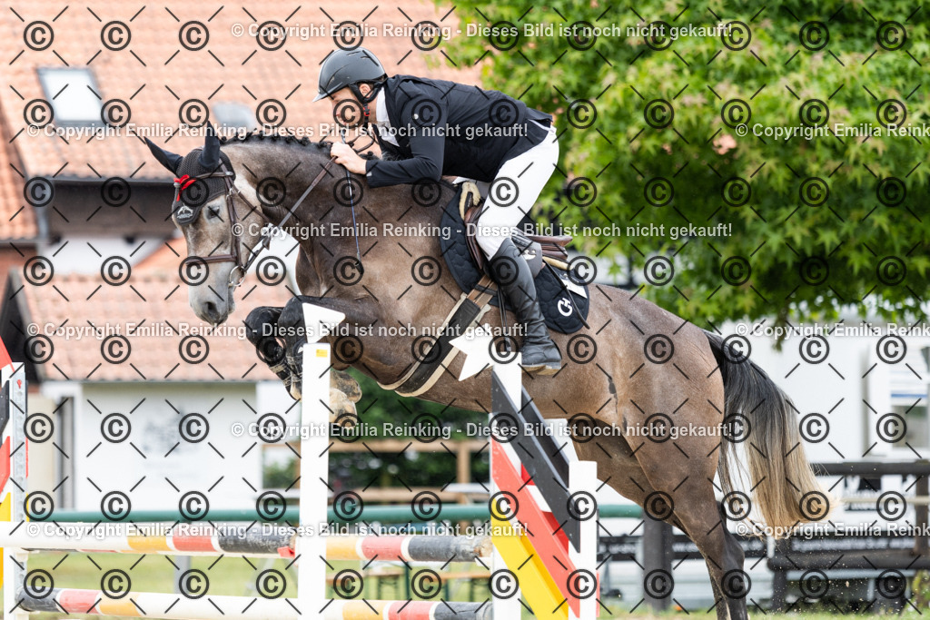 CL5A5053 | Emilia Reinking Fotografie - Realisiert mit Pictrs.com