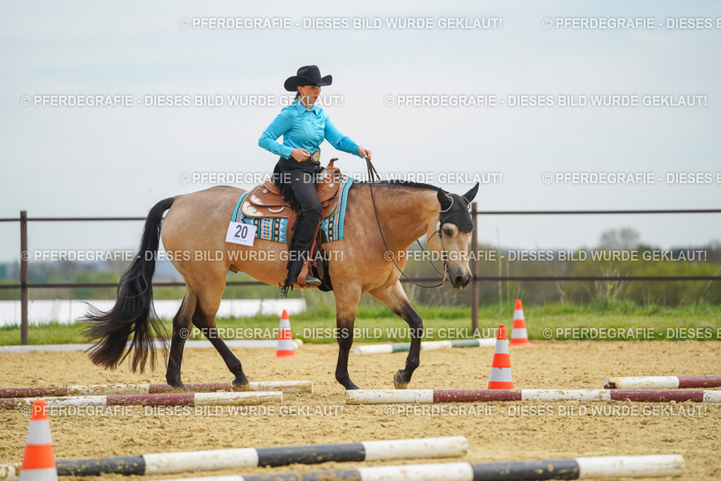 DSC03421 | Pferdegrafie