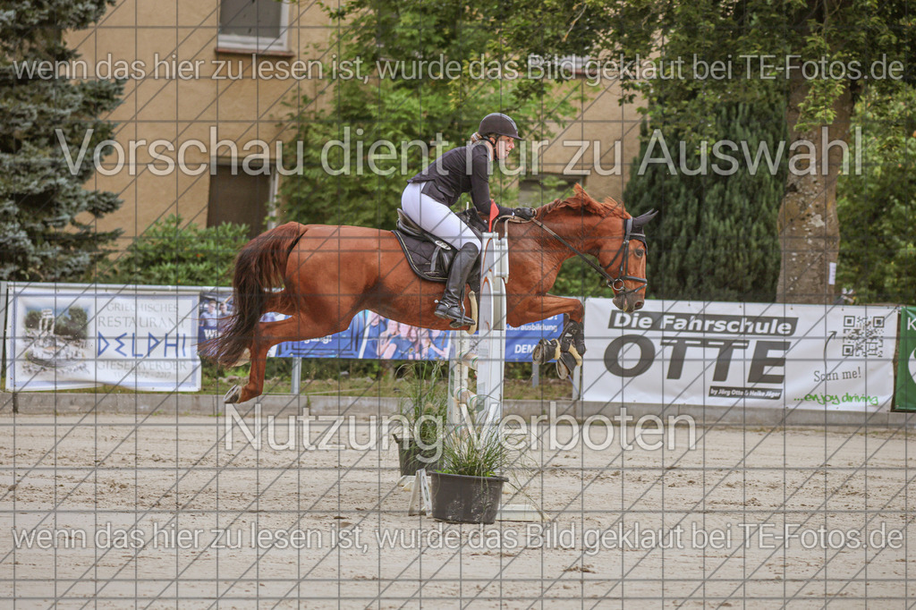 2025-09-22_09-41-28_MG_4305 | TE-Fotos