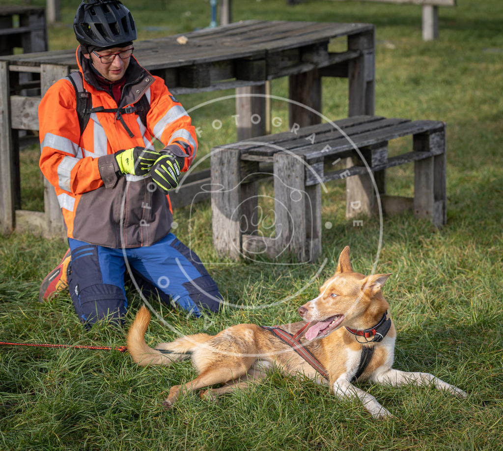 Pfotenfotografie_DV3A6755 | Hundefotografie, Tierfotograf, Pfotenfotografie, Fotoshooting Hund, Hunde Portrait, Hundesport, Hundeportraits, Heideshooting, Hunde, Sportfotograf, Hundefotograf, Turnierhundsport, THS,  - Realisiert mit Pictrs.com