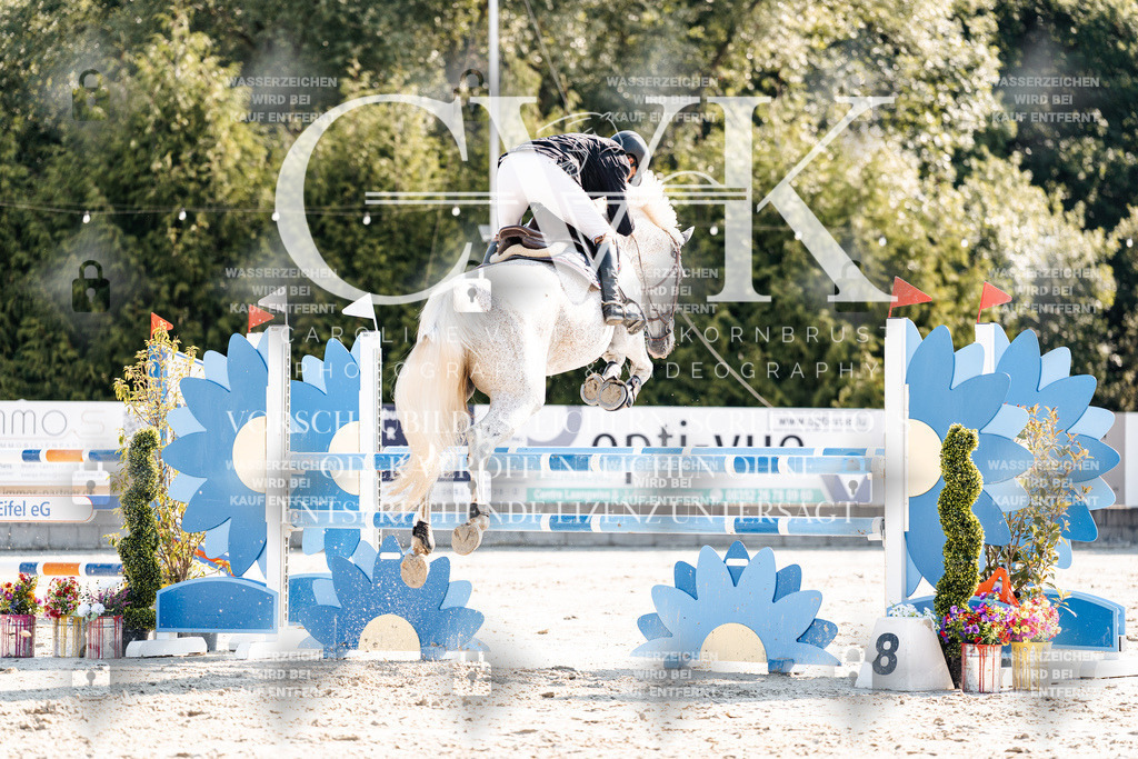 CK901979 | Turnierfotografie Pferdefotografie Trier Rheinland-Pfalz Pferdesport Reitsport Tierfotografie Sportfotografie Pferdevideo Pferdevideografie Equestrianvideography equestrianphotography  - Realisiert mit Pictrs.com