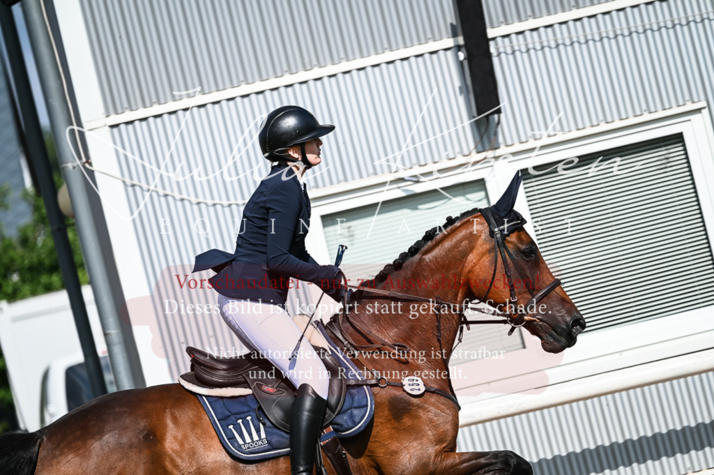DSC_7870 | Pferde- und Turnierfotografie in Westsachsen. Pferdeportraits, Auftragszeichnungen und intuitive Kunst.