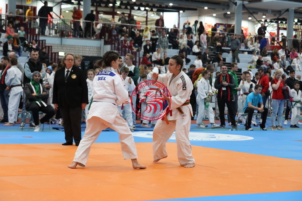 1J7A2738 | Fotos vom Adler Cup - Pictures from Adler Cup

Hier findet Ihr alle Eindrücke und großen Momente der Adler Cup Wochenenden. Here you will find all impressions and great moments of the Adler Cup weekends. - Realisiert mit Pictrs.com