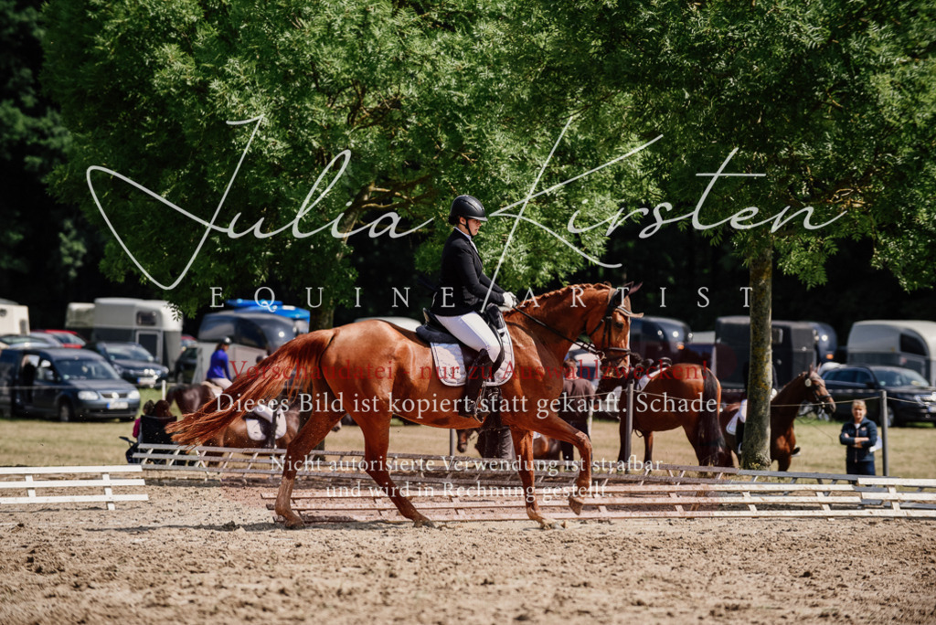DSC_0329 | Pferde- und Turnierfotografie in Westsachsen. Pferdeportraits, Auftragszeichnungen und intuitive Kunst.