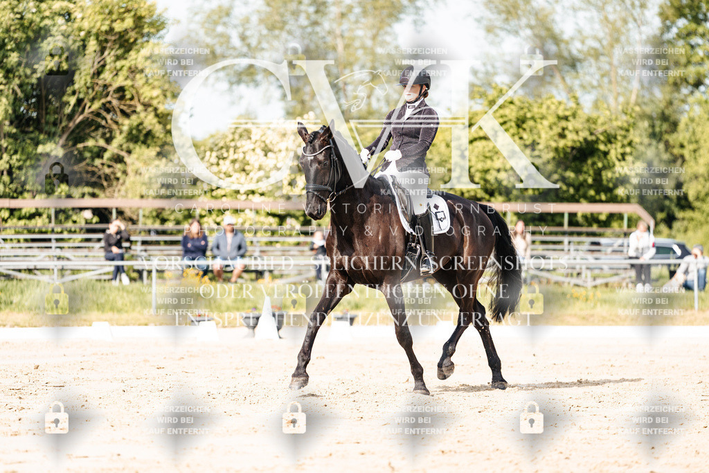 CK900205 | Turnierfotografie Pferdefotografie Trier Rheinland-Pfalz Pferdesport Reitsport Tierfotografie Sportfotografie Pferdevideo Pferdevideografie Equestrianvideography equestrianphotography  - Realisiert mit Pictrs.com