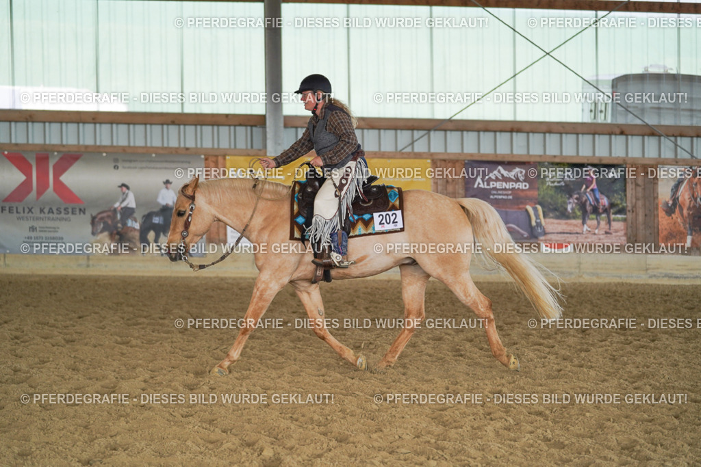 DSC00977 | Pferdegrafie