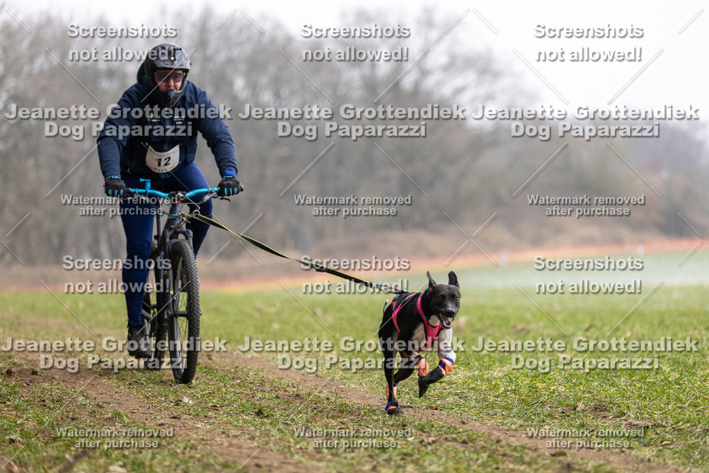 Dog Paparazzi - Plate 2026-21 | Dog Paparazzi Jeanette Grottendiek Fotografie & Videografie - Realisiert mit Pictrs.com